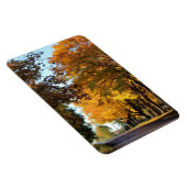 Herbstfarben auf der Landstraße Magnet (Rechte Seite)