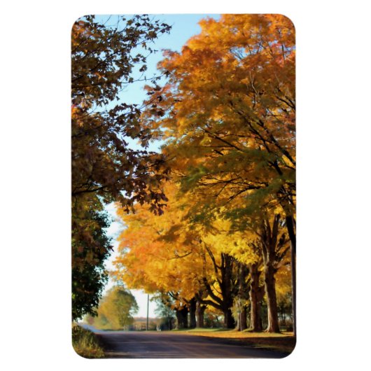 Herbstfarben auf der Landstraße Magnet (Vertikal)