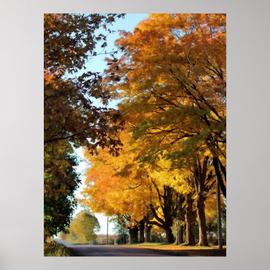 Herbstfarben auf der Landstraße Poster (Vorne)