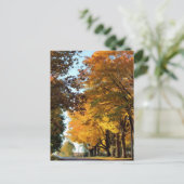 Herbstfarben auf der Landstraße Postkarte (Stehend Vorderseite)