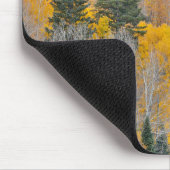Herbstfarben auf Espenwäldchen Mousepad (Ecke)
