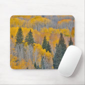 Herbstfarben auf Espenwäldchen Mousepad (Mit Mouse)