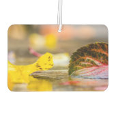 Herbstfarben Autolufterfrischer (Rückseite)
