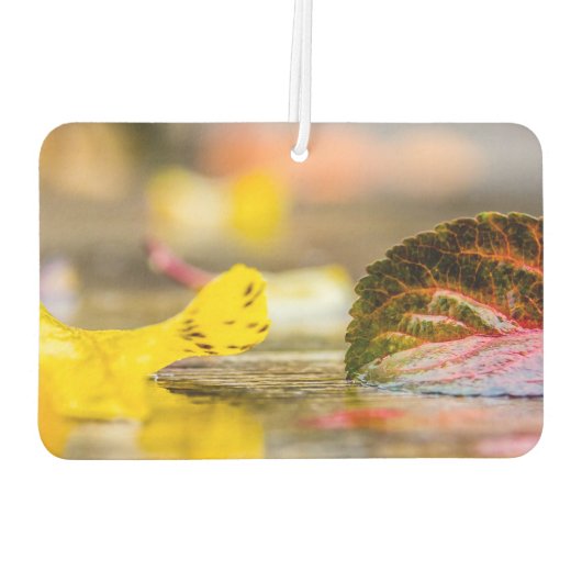 Herbstfarben Autolufterfrischer (Rückseite)
