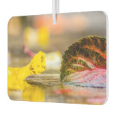 Herbstfarben Autolufterfrischer (Links)