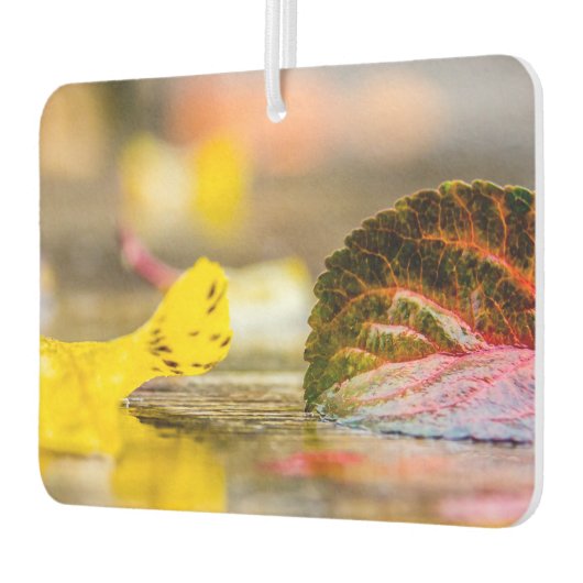 Herbstfarben Autolufterfrischer (Links)