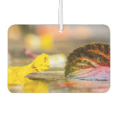 Herbstfarben Autolufterfrischer (Vorderseite)