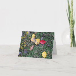 Herbstfarben-Beileids-Karte Karte