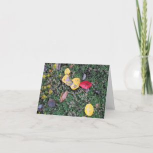 Herbstfarben-Beileids-Karte Karte