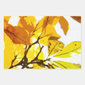 Herbstfarben, Blätter (Vorderseite 3)