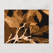 Herbstfarben, Blätter 6 Postkarte (Rückseite)