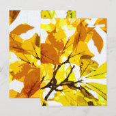 Herbstfarben, Blätter Postkarte (Vorne/Hinten)