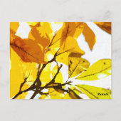 Herbstfarben, Blätter Postkarte (Rückseite)