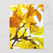 Herbstfarben, Blätter Postkarte (Vorderseite)