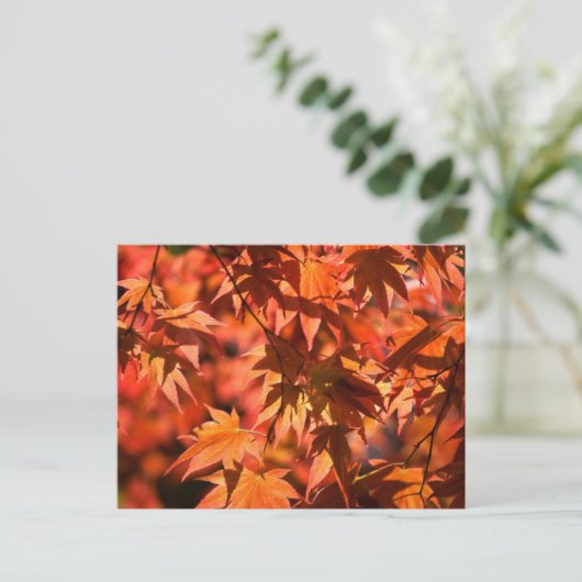 Herbstfarben Blätter Rot Feiertagspostkarte (Stehend Vorderseite)