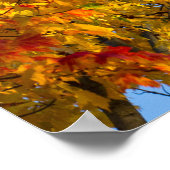Herbstfarben, Blue Sky, Ohio Poster (Ecke)