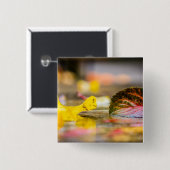 Herbstfarben Button (Vorne & Hinten)