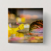 Herbstfarben Button (Vorderseite)