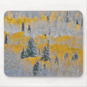 Herbstfarben der Espen und frischer Schnee Keebler Mousepad