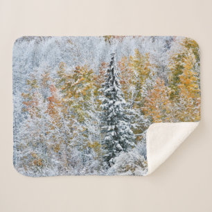 Herbstfarben der Espen und Schnee Keebler Pass Sherpadecke