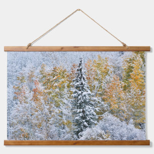 Herbstfarben der Espen und Schnee Keebler Pass Wandteppich Mit Holzrahmen