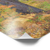 Herbstfarben der Wälder in der Kaskade 2 Fotodruck (Ecke)