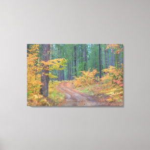 Herbstfarben der Wälder in der Kaskade 2 Leinwanddruck