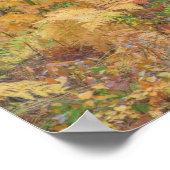 Herbstfarben der Wälder in der Kaskade 2 Poster (Ecke)