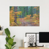 Herbstfarben der Wälder in der Kaskade 2 Poster (Heimbüro)