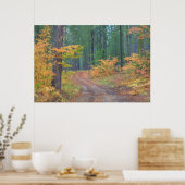 Herbstfarben der Wälder in der Kaskade 2 Poster (Küche)