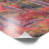 Herbstfarben der Wälder in der Kaskade 3 Fotodruck (Ecke)