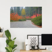 Herbstfarben der Wälder in der Kaskade 4 Poster (Heimbüro)