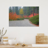 Herbstfarben der Wälder in der Kaskade 4 Poster (Küche)