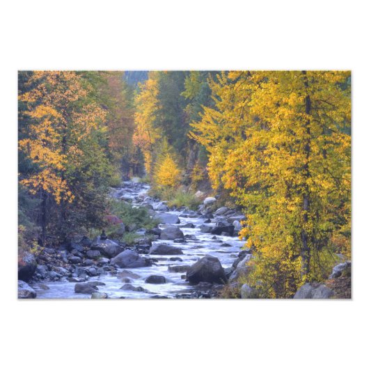 Herbstfarben der Wälder in der Kaskade 5 Fotodruck (Vorne)