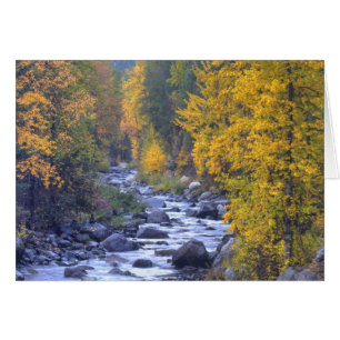 Herbstfarben der Wälder in der Kaskade 6