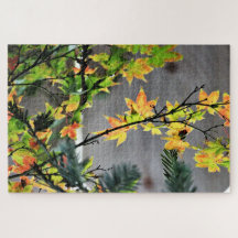 Herbstfarben des Ahornbaums