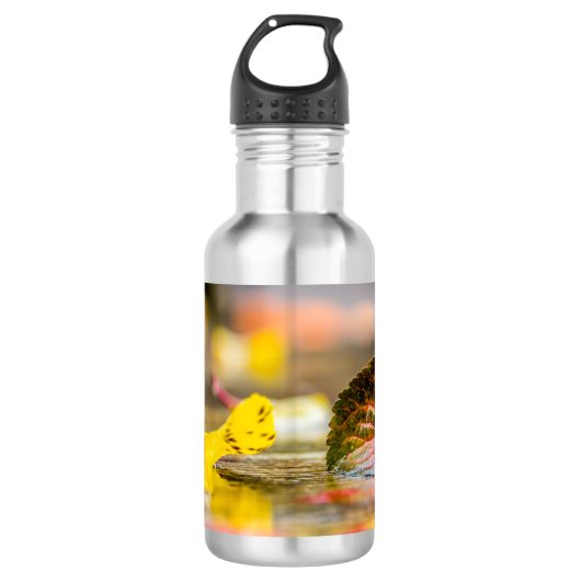 Herbstfarben Edelstahlflasche (Vorderseite)