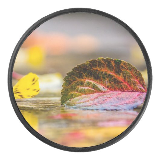 Herbstfarben Eishockey Puck (Vorderseite)