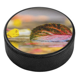 Herbstfarben Eishockey Puck