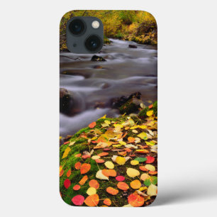 Herbstfarben entlang der McGee Creek Case-Mate iPhone Hülle