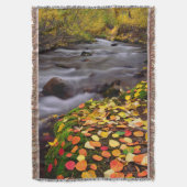 Herbstfarben entlang der McGee Creek Decke (Vorderseite Vertikal)