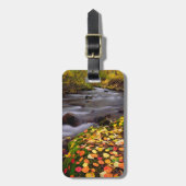 Herbstfarben entlang der McGee Creek Gepäckanhänger (Vorderseite vertikal)