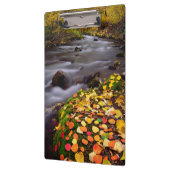 Herbstfarben entlang der McGee Creek Klemmbrett (Links)