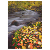 Herbstfarben entlang der McGee Creek Klemmbrett (Rückseite)
