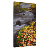 Herbstfarben entlang der McGee Creek Klemmbrett (Rechts)