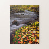 Herbstfarben entlang der McGee Creek Puzzle (Vertikal)
