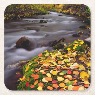 Herbstfarben entlang der McGee Creek Rechteckiger Pappuntersetzer