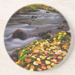 Herbstfarben entlang der McGee Creek Sandstein Untersetzer