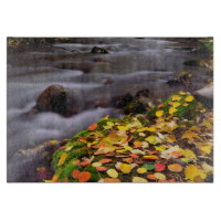 Herbstfarben entlang der McGee Creek