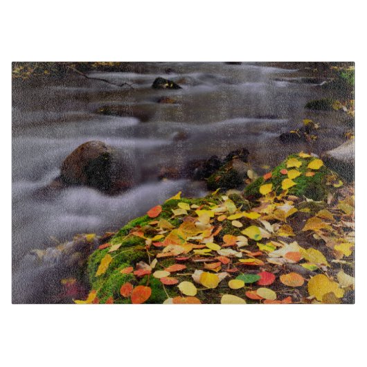 Herbstfarben entlang der McGee Creek Schneidebrett (Vorderseite)